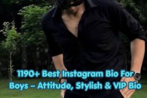 1190+ Best Instagram Bio For Boys – Attitude, Stylish & VIP Bio