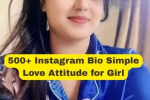 500+ Instagram Bio Simple Love Attitude for Girl