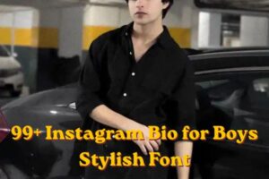 99+ Instagram Bio for Boys Stylish Font
