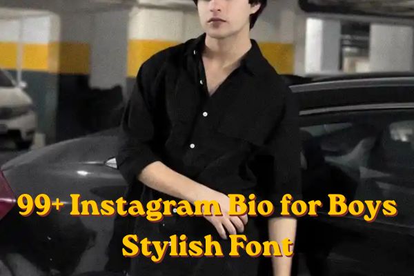 99+ Instagram Bio for Boys Stylish Font