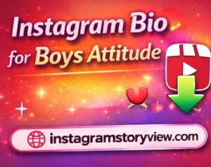 instagram bio for boys attitude