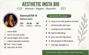 Aesthetic Insta Bio