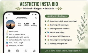 Aesthetic Insta Bio Alanroy5709