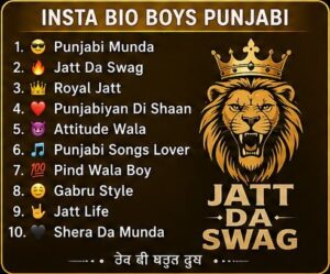 Insta Bio Boys Punjabi