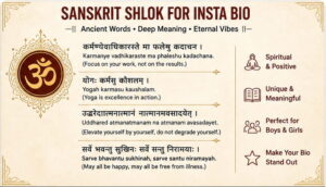 Sanskrit Shlok for Insta Bio Alanroy5709