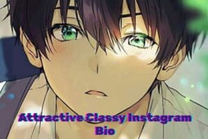 Attractive Classy Instagram Bio