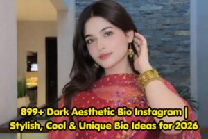 899+ Dark Aesthetic Bio Instagram Stylish, Cool & Unique Bio Ideas for 2026