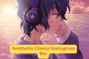 Aesthetic Classy Instagram Bio