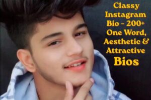 Classy Instagram Bio – 200+ One Word, Aesthetic & Attractive Bios