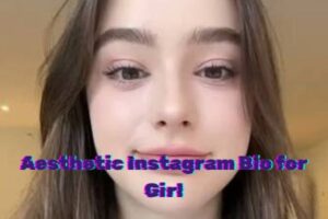Aesthetic Instagram Bio for Girl