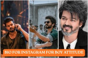 BIO FOR INSTAGRAM FOR BOY ATTITUDE