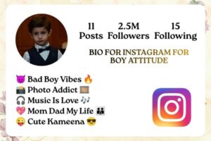 BIO FOR INSTAGRAM FOR BOY ATTITUDE