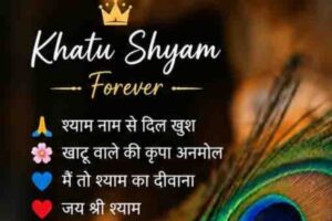 Instagram Bio For Khatu Shyam Ji Bhakt