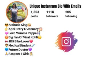 Unique Instagram Bio With Emojis